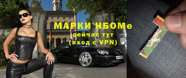 амф Пересвет