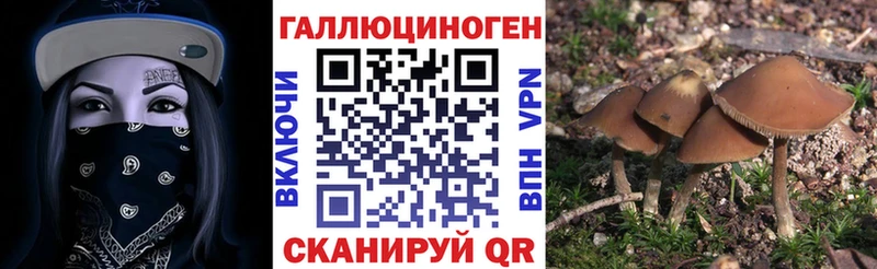 Галлюциногенные грибы мухоморы  где найти наркотики  Санкт-Петербург 